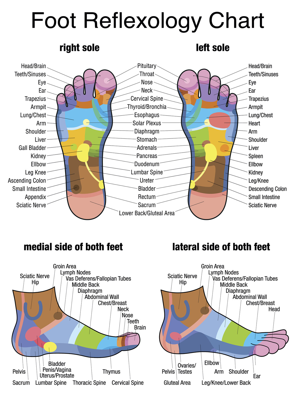 ρεφλεξολογία