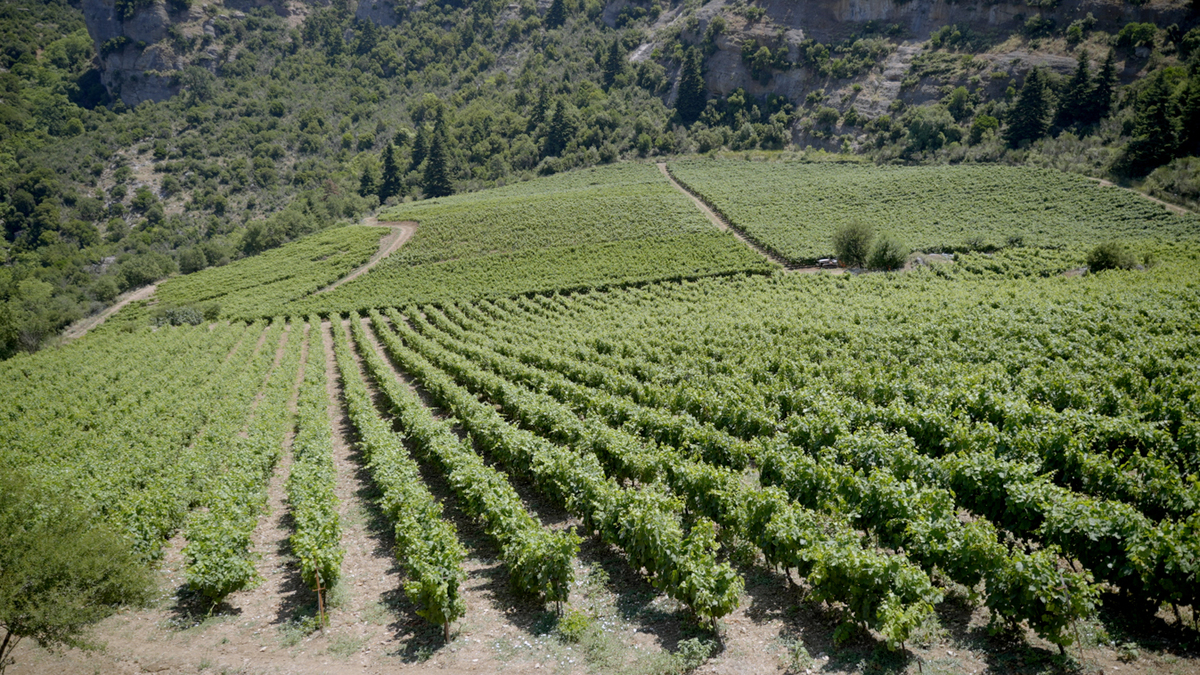 οινοτουρισμός 