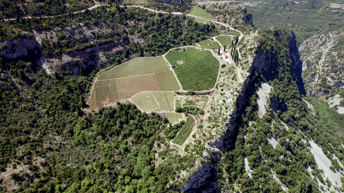 οινοτουρισμός 