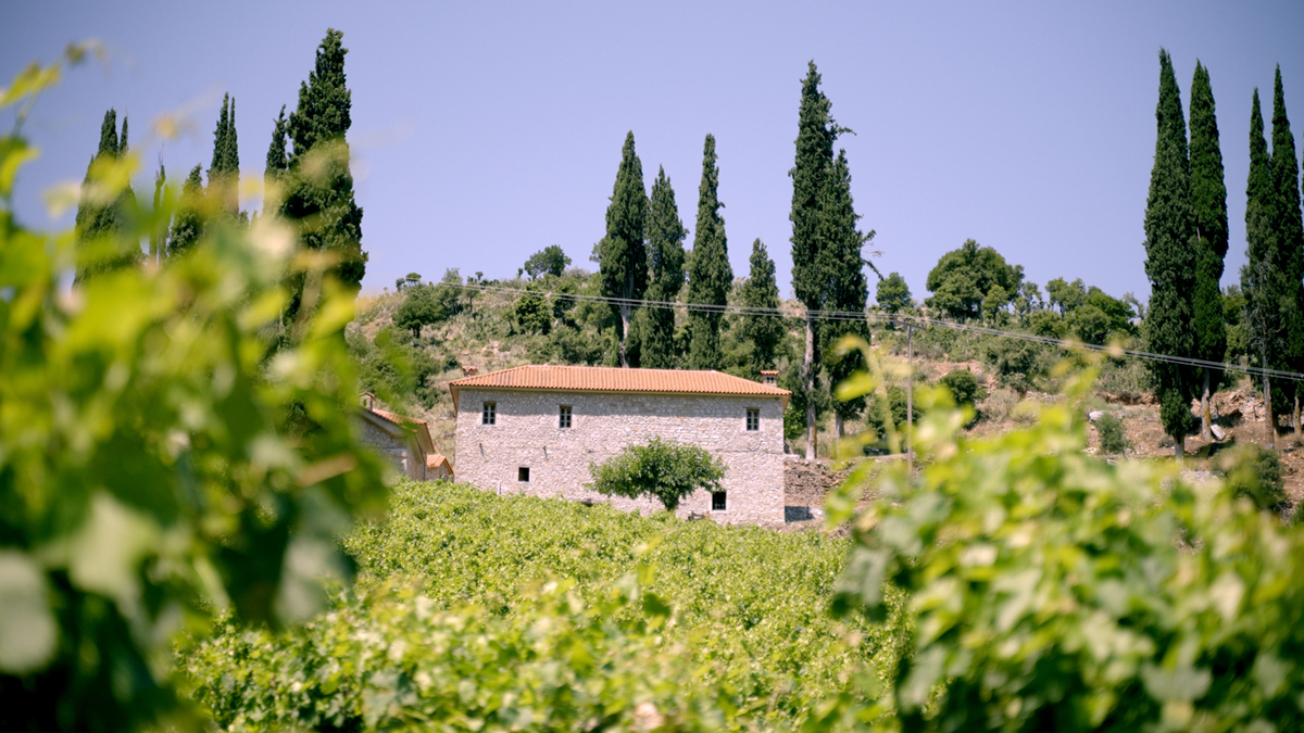οινοτουρισμός 