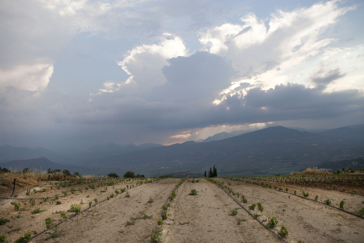 κτήμα σεμέλη, οινοτουρισμός 