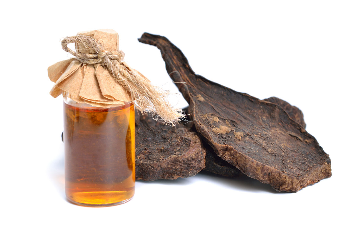 Το απόκρυφο μυστικό των Κινέζων για την αντιγήρανση κρύβεται σε αυτό το βότανο