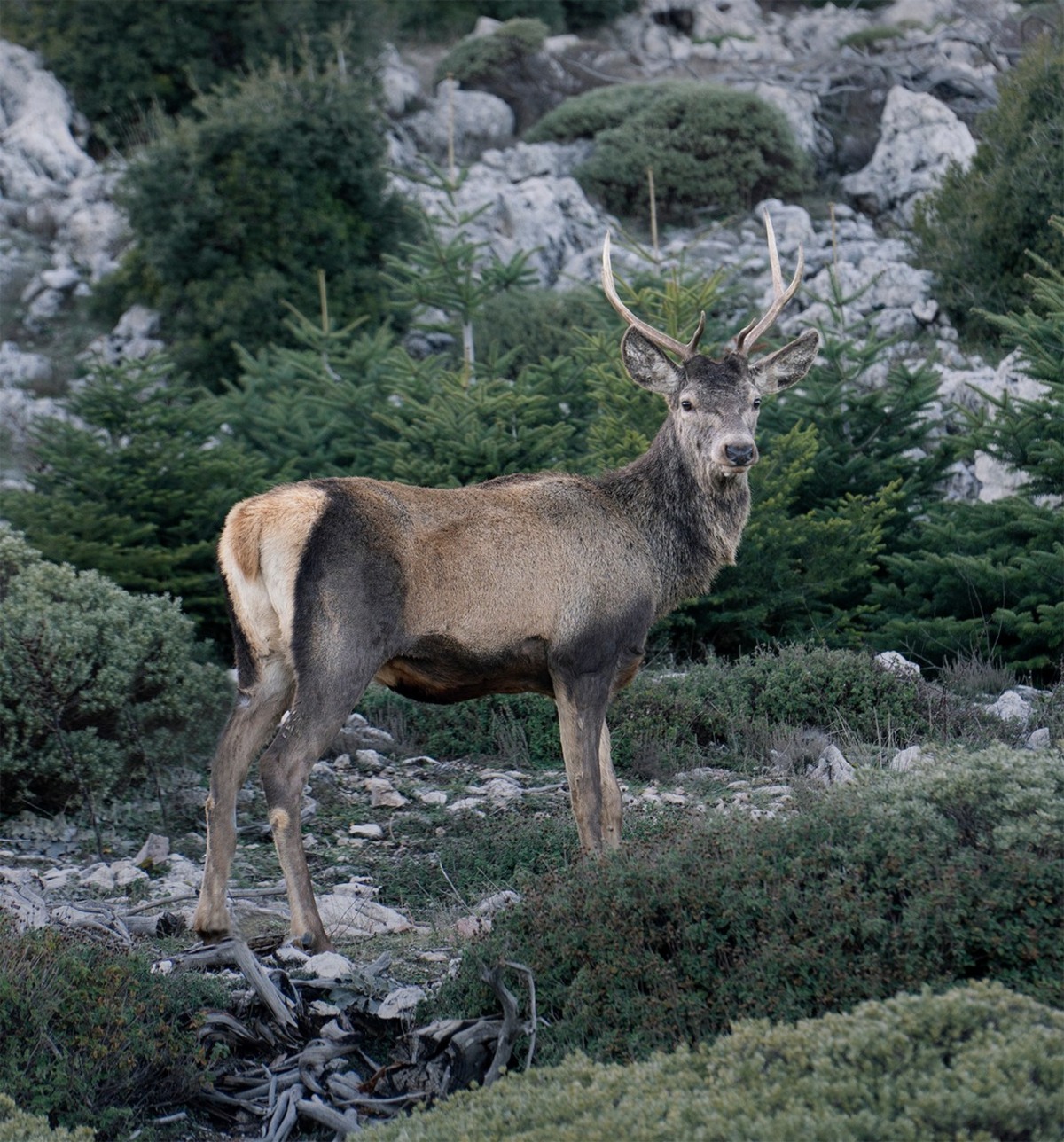 5 γυναίκες εξηγούν όσα δεν ξέραμε για την άγρια ζωή της Ελλάδας