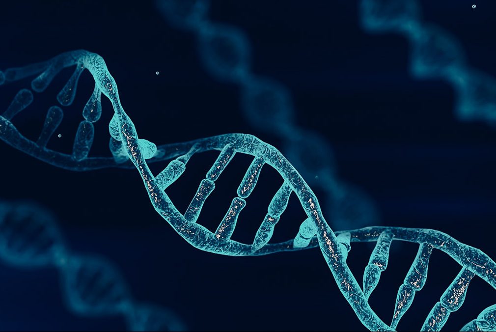 Χρόνια κόπωση