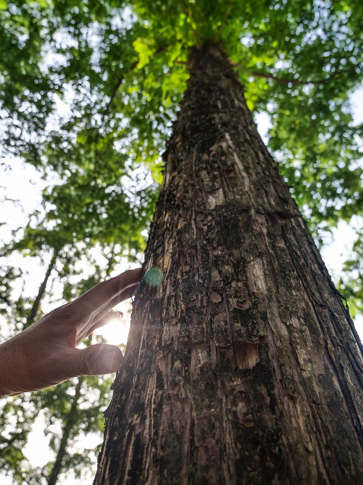 Λέγεται micro-wellness και είναι το μόνο ρεαλιστικό αντίδοτο στο στρες