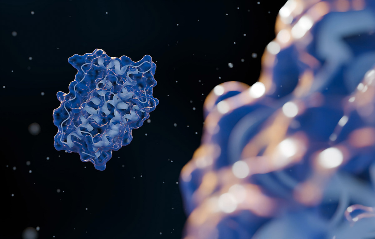 Οι ορμόνες που πρέπει να ρυθμίσεις αν θες να χάσεις βάρος