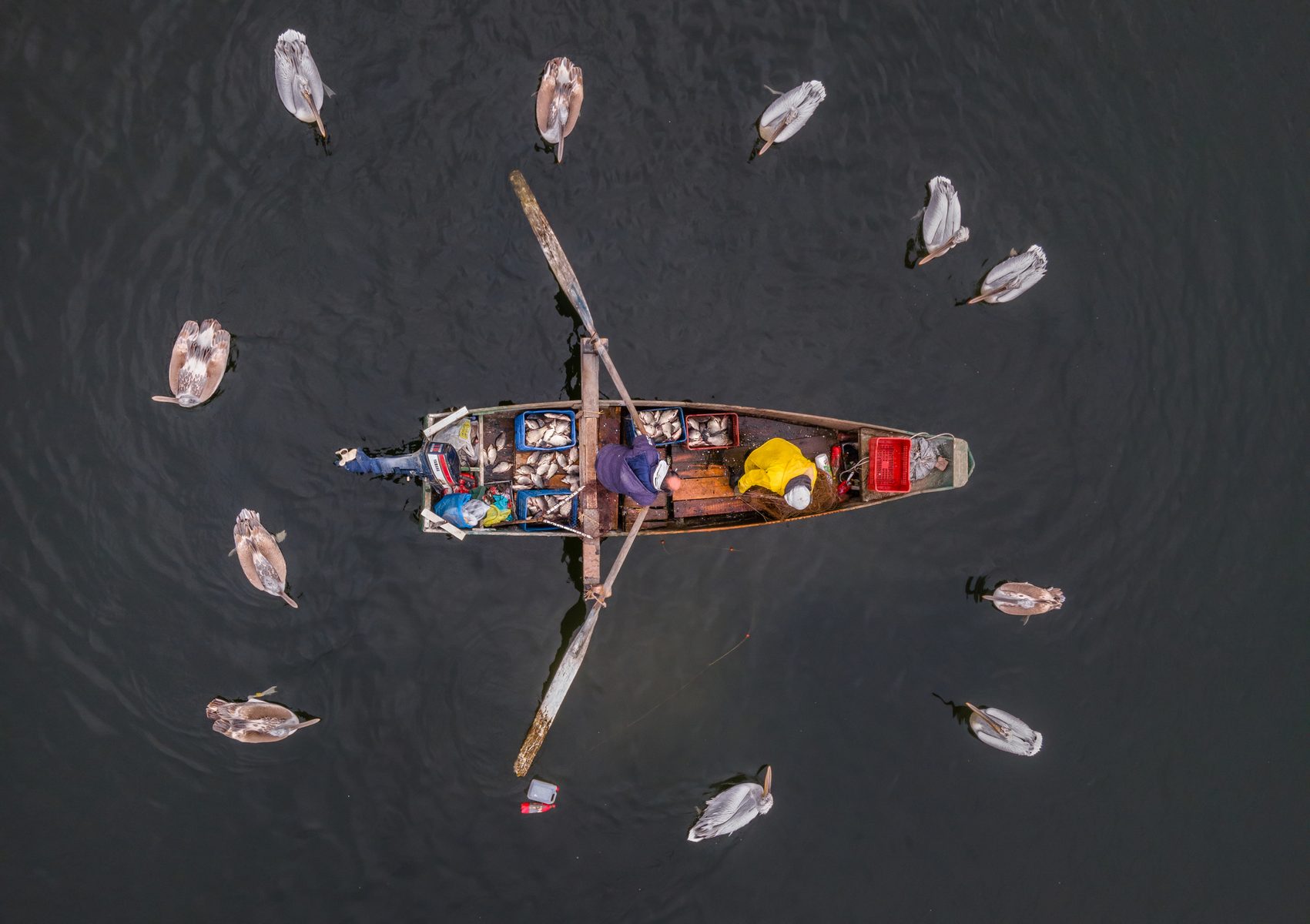 5 γυναίκες εξηγούν όσα δεν ξέραμε για την άγρια ζωή της Ελλάδας