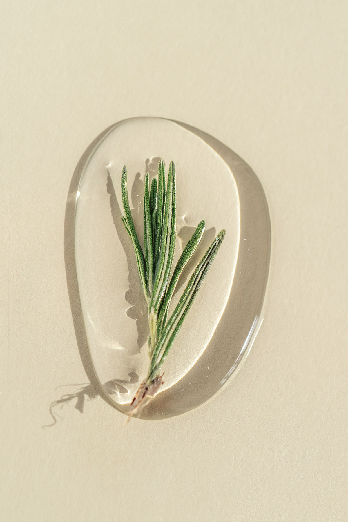 βότανο, δεντρολίβανο