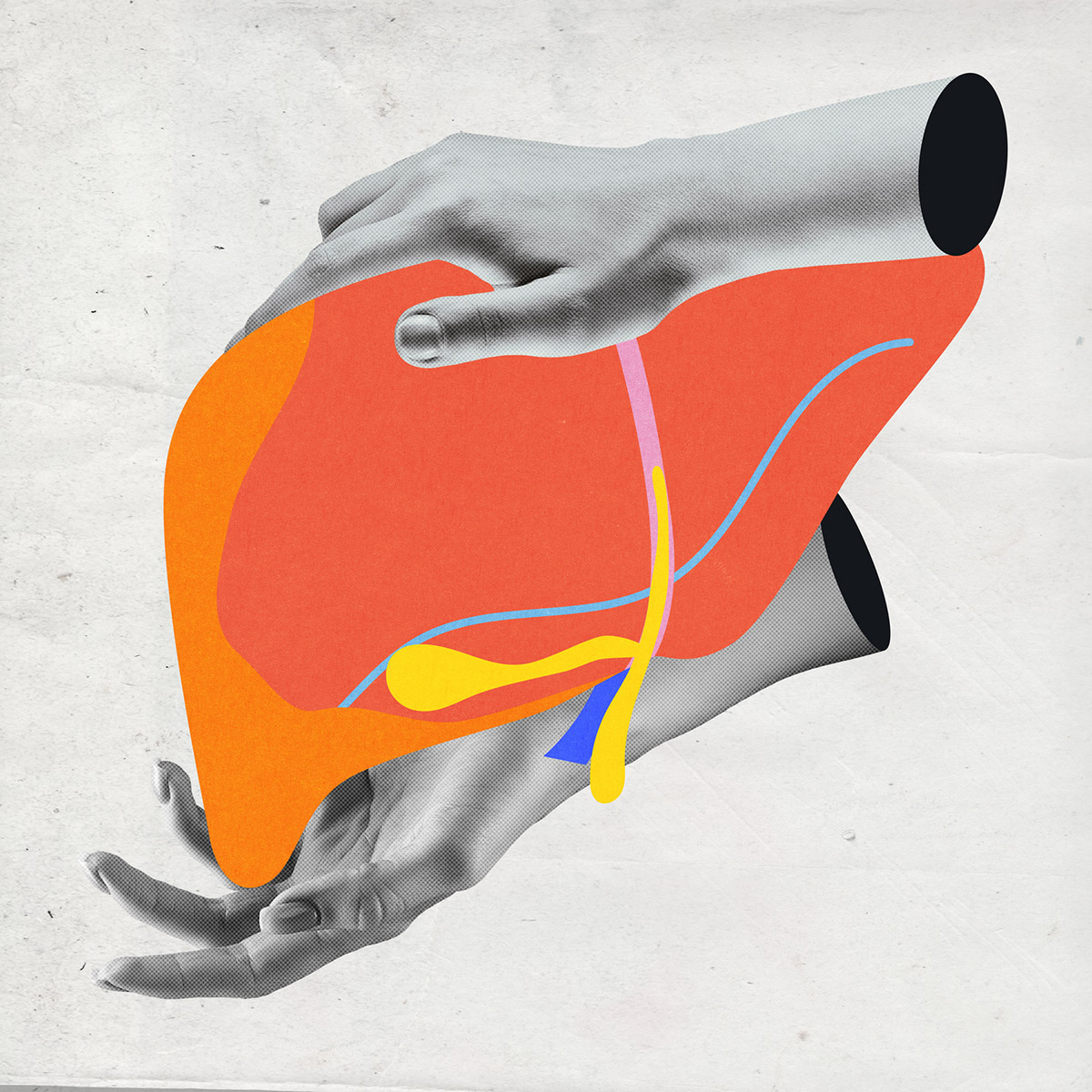 Ποιο όργανο στο σώμα πεθαίνει τελευταίο;