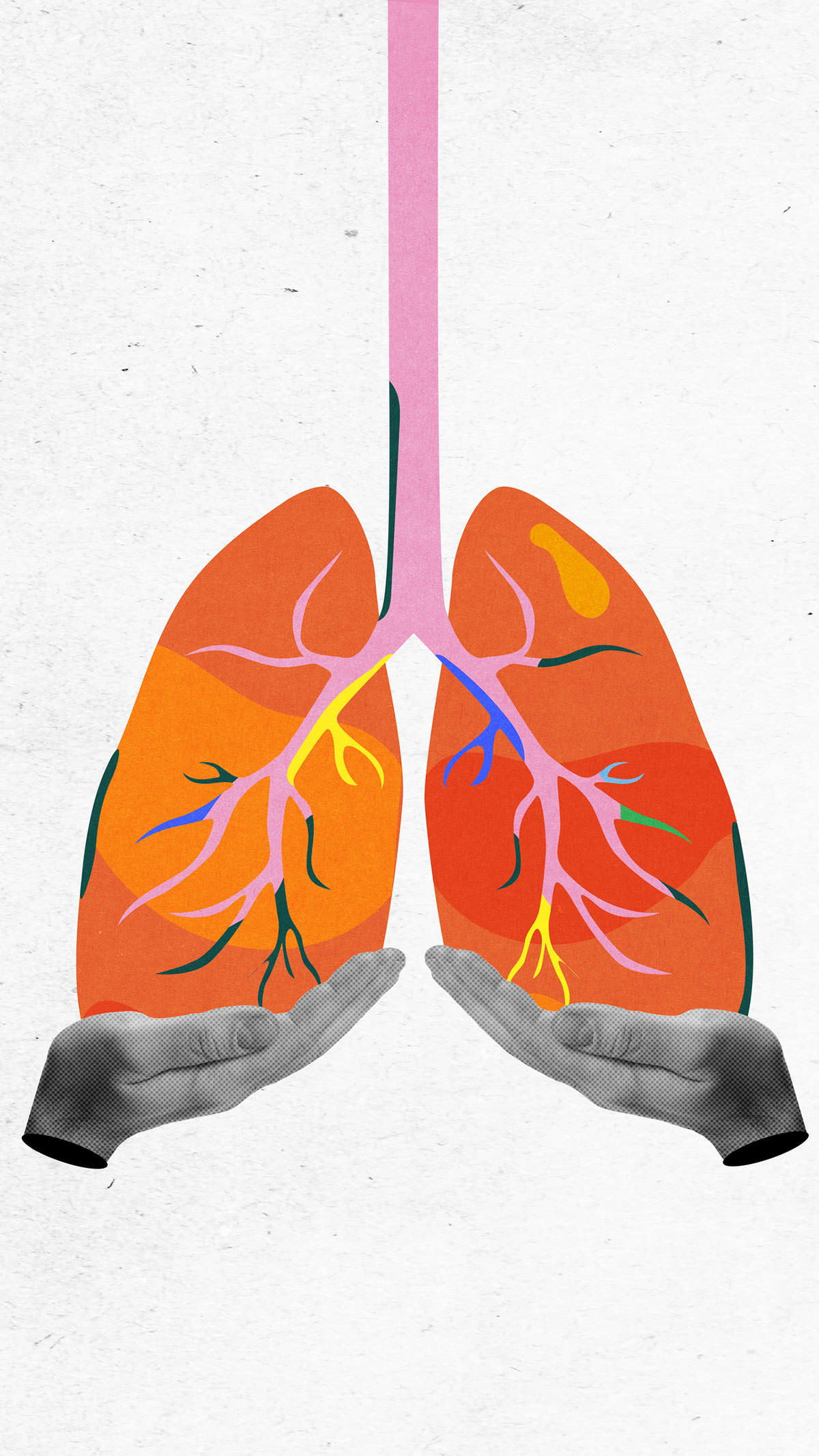 Ποιο όργανο στο σώμα πεθαίνει τελευταίο;