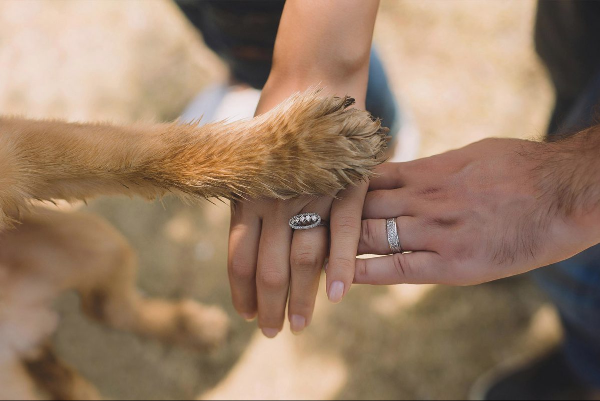 Τι κάνεις όταν ο σκύλος γίνεται το τρίτο πρόσωπο στη σχέση