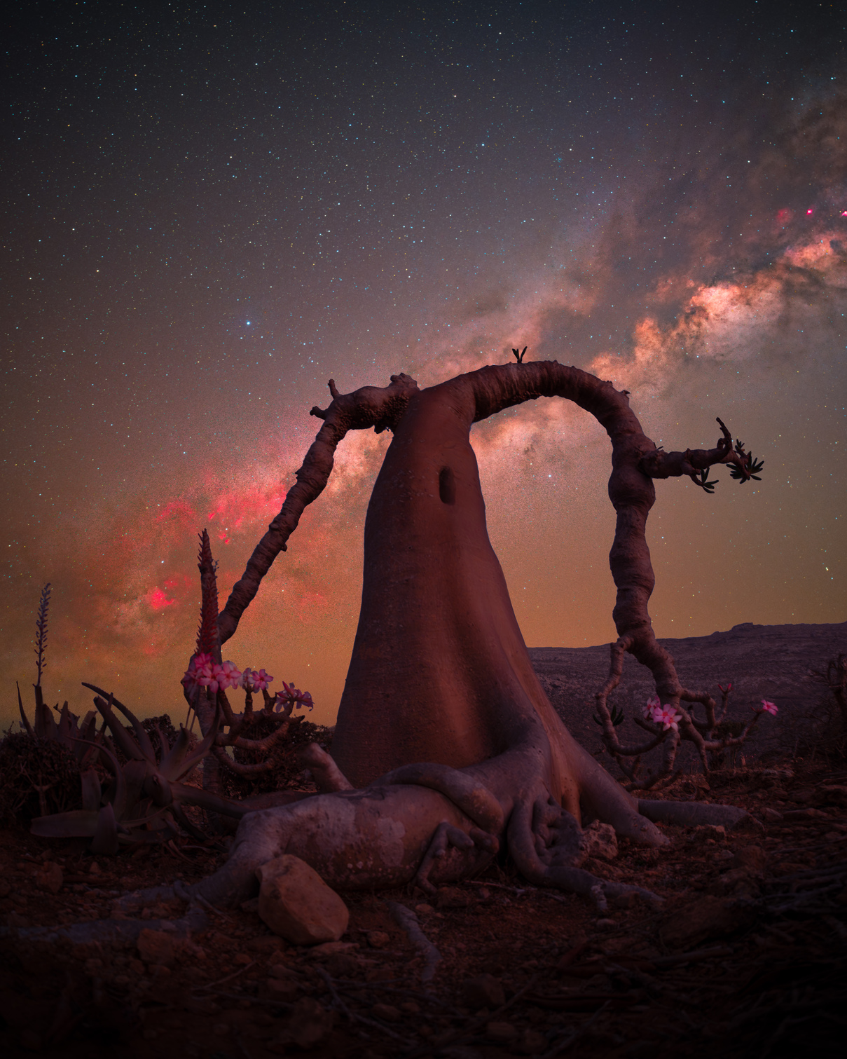 Οι καλύτερες φωτογραφίες τοπίου για το 2025