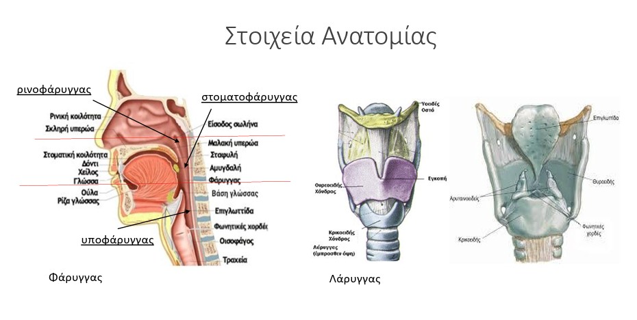 Γιατί ρισκάρεις τη ζωή σου αν φας πριν από μια χειρουργική επέμβαση