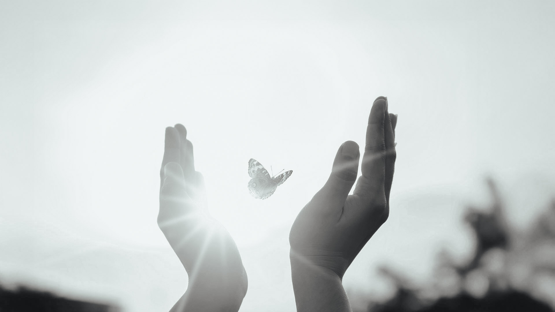 Πώς άλλαξε η ζωή των ανθρώπων που γύρισαν από τον θάνατο