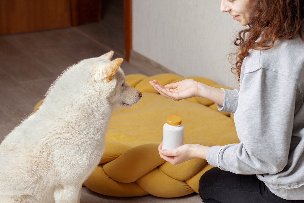 Πώς να βοηθήσεις τον σκύλο σου που φοβάται τα πυροτεχνήματα