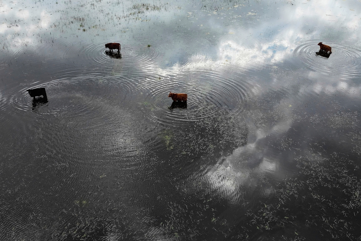 10 φωτογραφίες αποτυπώνουν πώς εξελίχθηκε η κλιματική αλλαγή τη χρονιά που πέρασε
