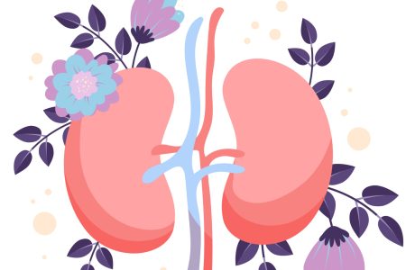 Οι επιστήμονες ανακάλυψαν πώς αντιστρέφεται η νεφρική νόσος