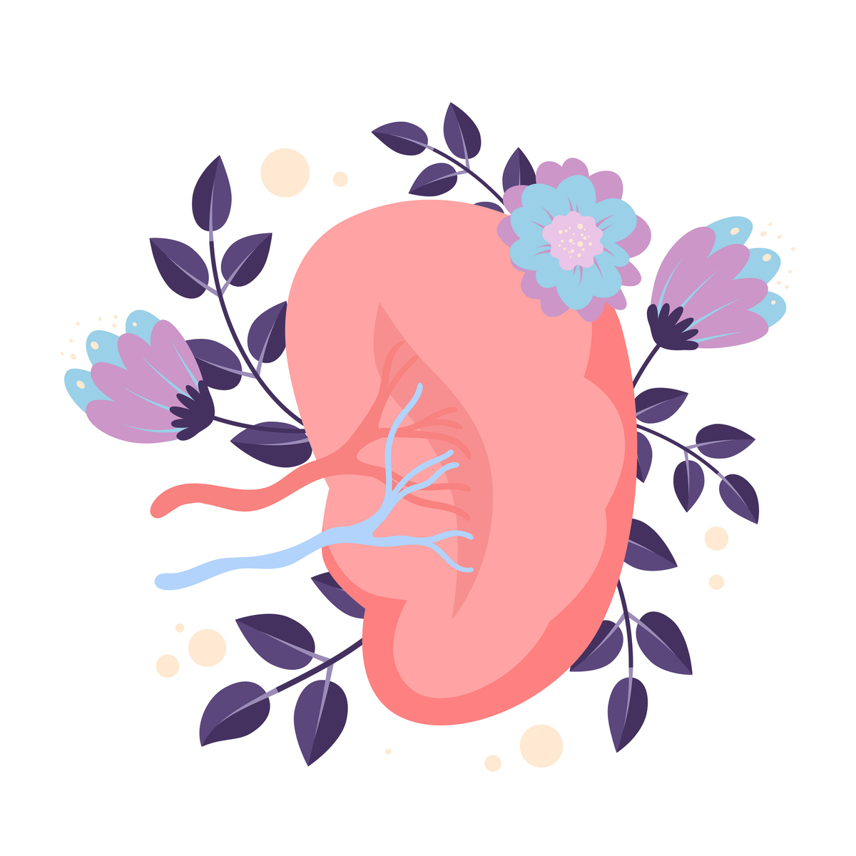 Οι επιστήμονες ανακάλυψαν πώς αντιστρέφεται η νεφρική νόσος