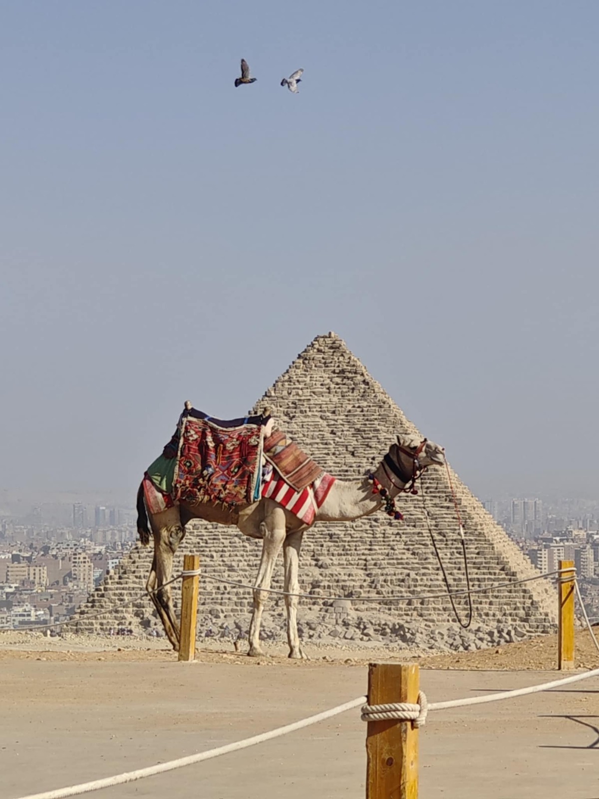 Τι θα σου μάθει ένα ταξίδι στην Αίγυπτο