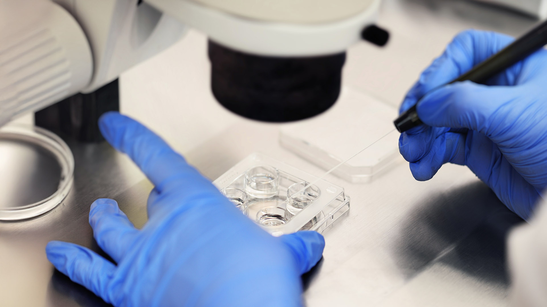 Τι σημαίνει εξωσωματική υποβοηθούμενη από το ΑΙ;