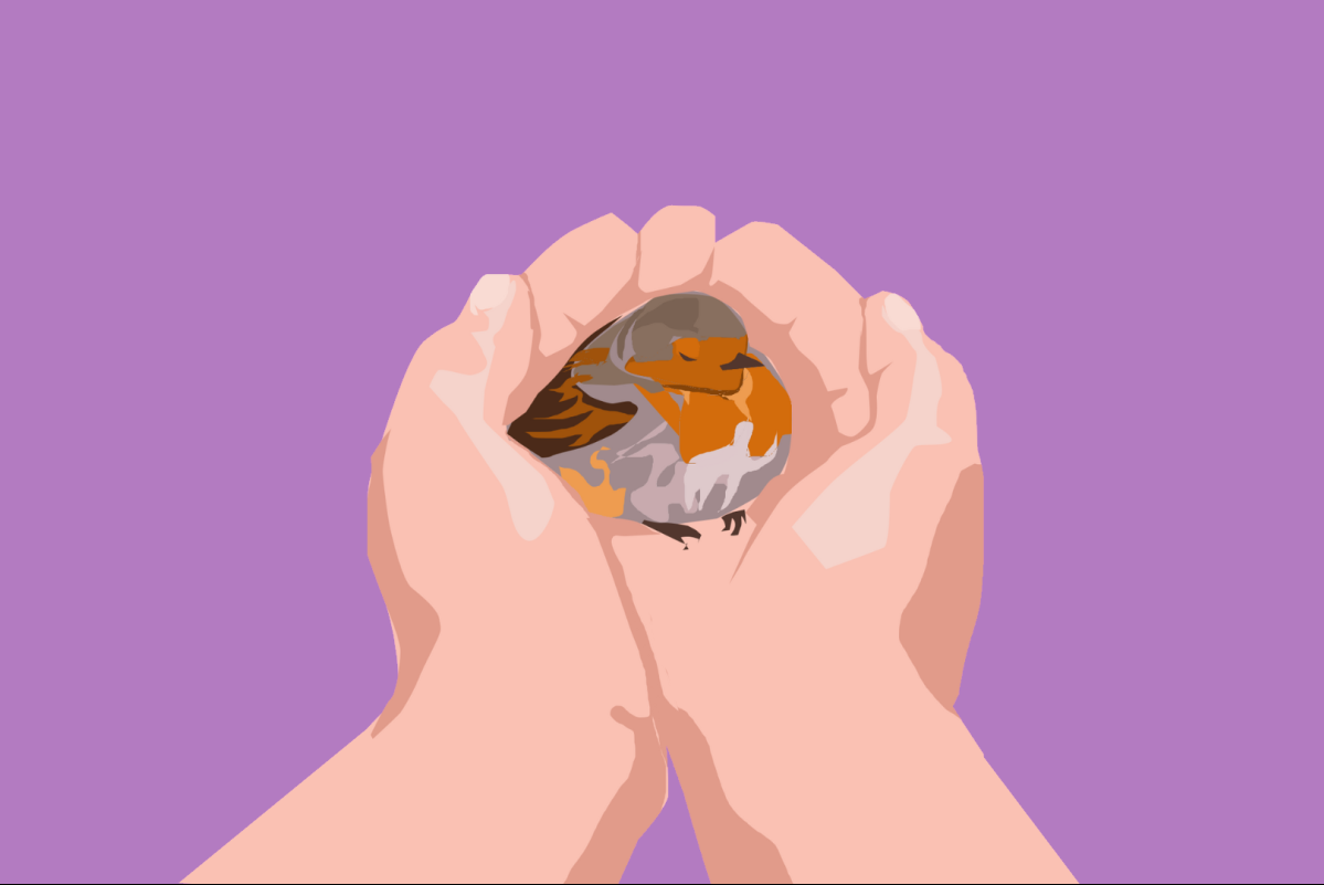 Η καλύτερη ρουτίνα ύπνου για να κοιμάσαι σαν πουλάκι