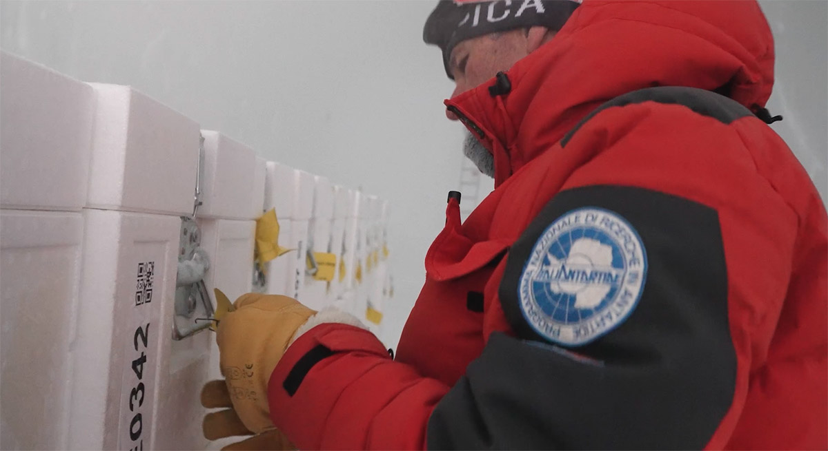 βιβλιοθήκη παγετώνων