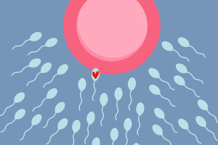 Ο μύθος για τη σύλληψη που όλοι πιστεύουμε