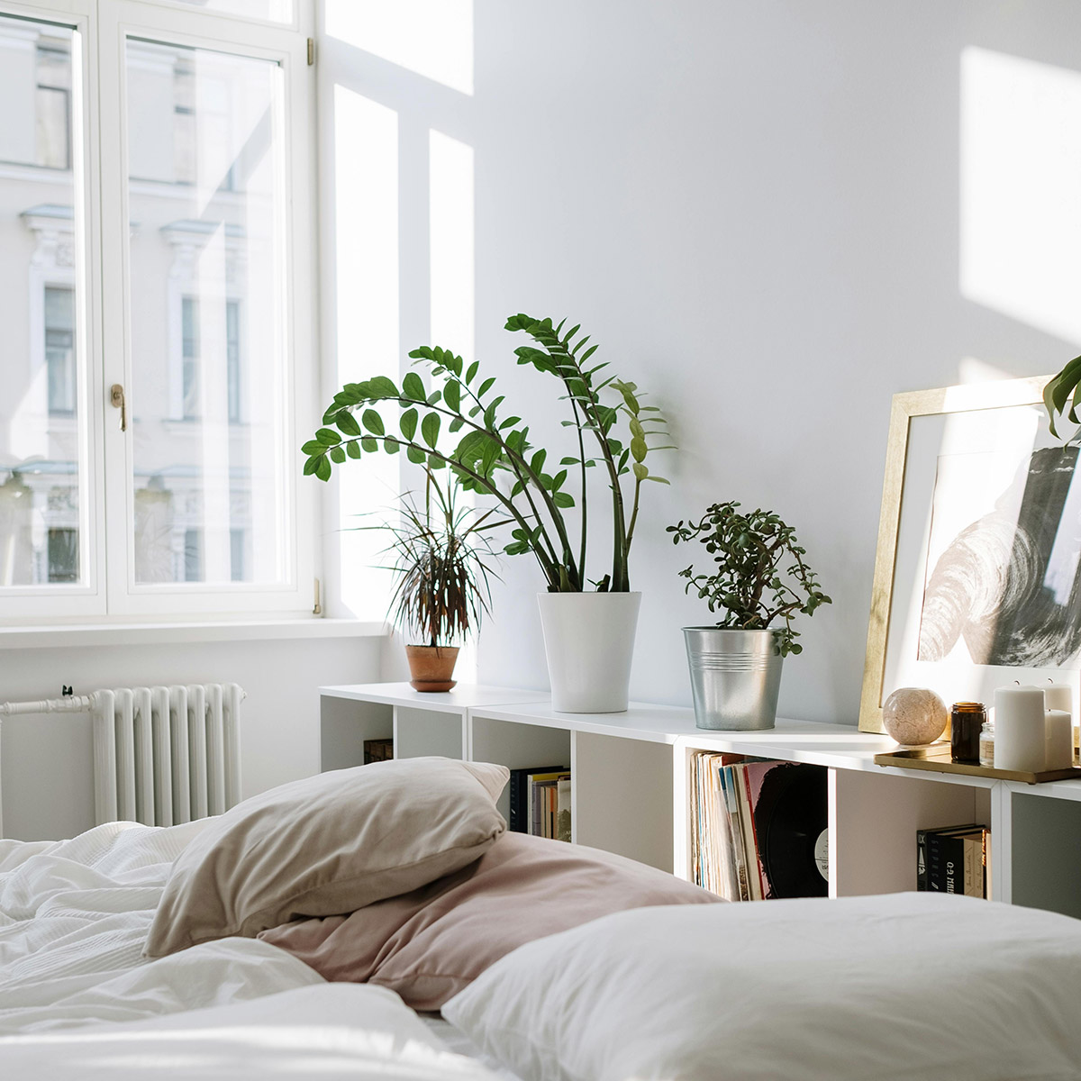 φυτά και καλοριφέρ