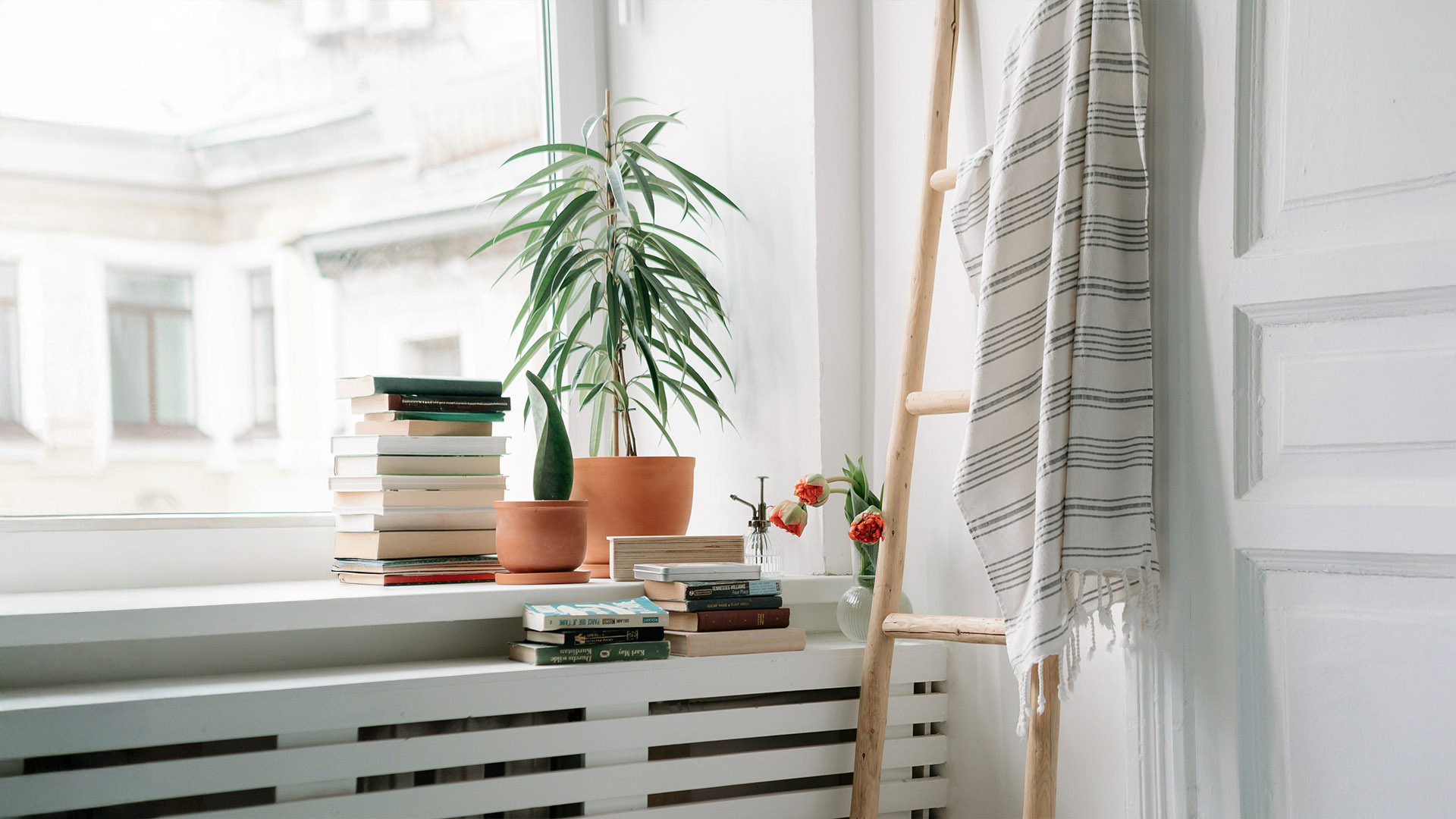 φυτά και καλοριφέρ