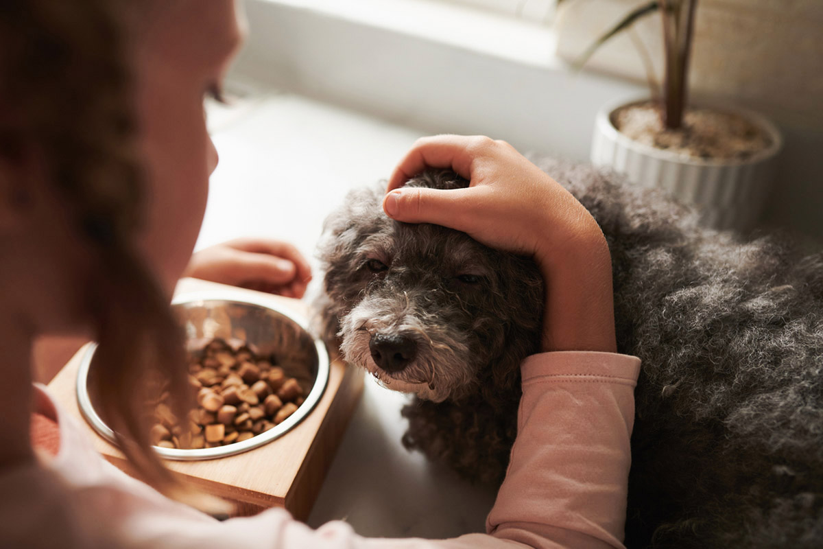 Κατοικίδια και παιδιά