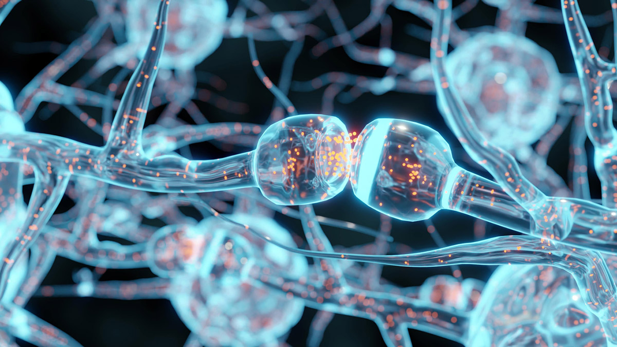 Κολύμπι και εγκέφαλος