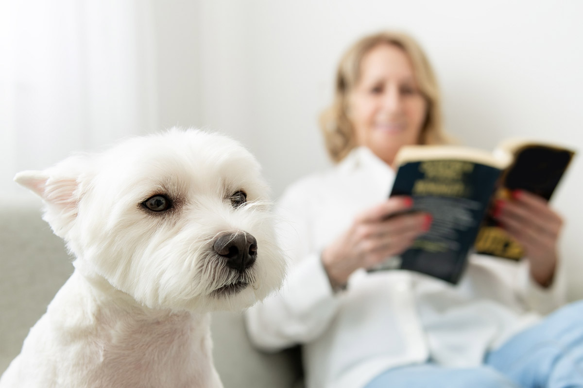 Συμπεριφορά σκύλου