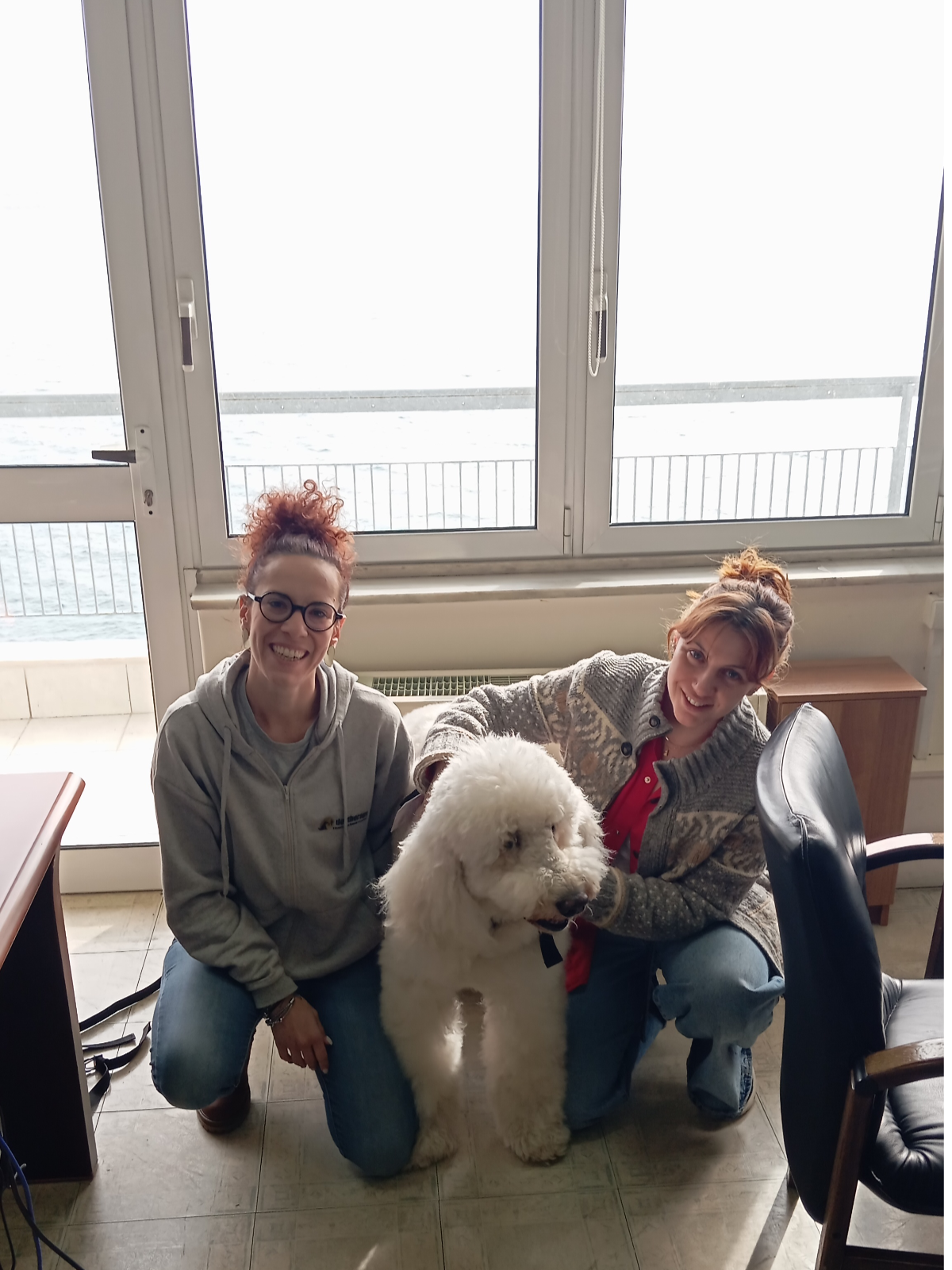 σκύλος θεραπείας