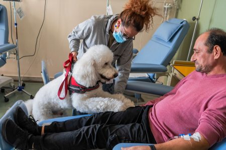 Ο σκύλος θεραπείας που μοιράζει χαμόγελα σε αντικαρκινικό νοσοκομείο λέγεται Βαγγέλης