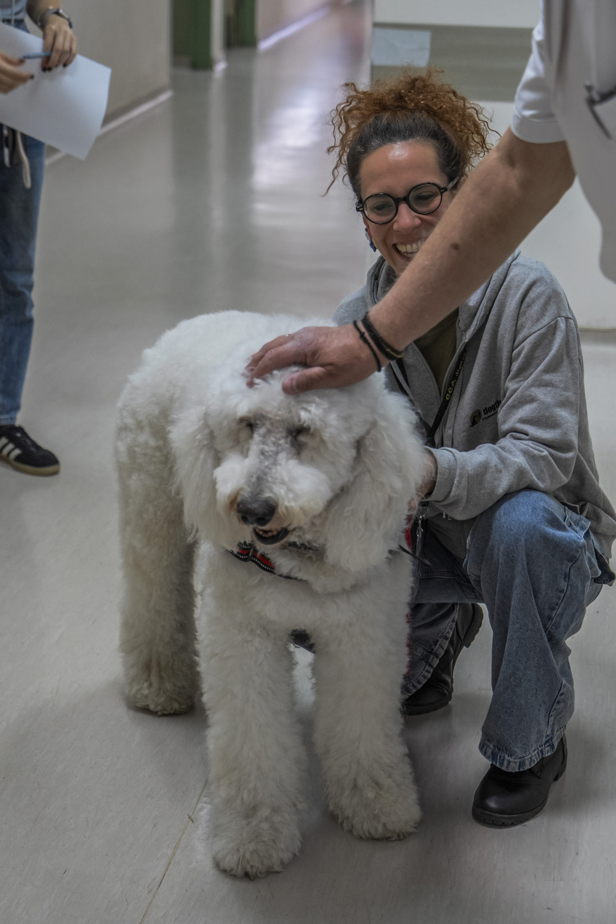 σκύλος θεραπείας