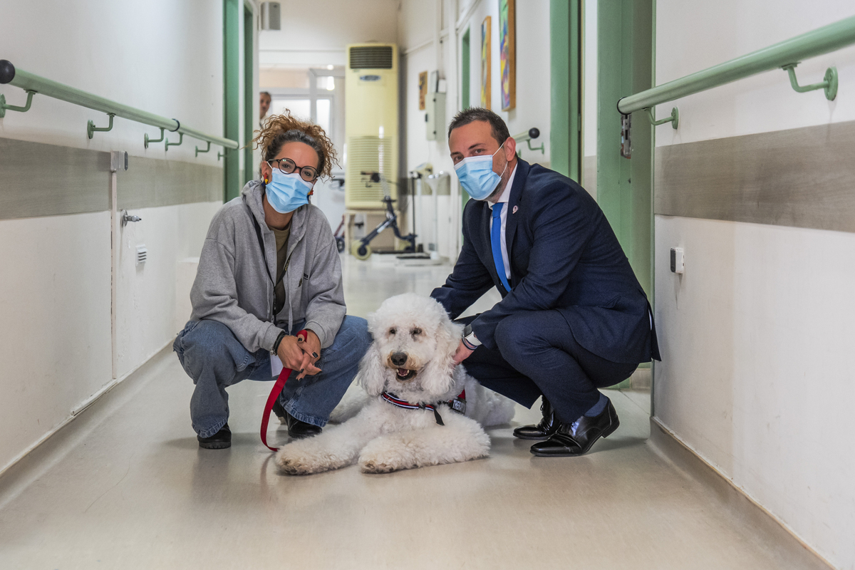 σκύλος θεραπείας