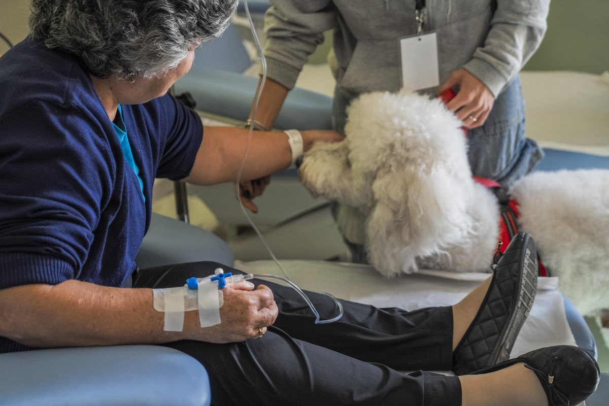 σκύλος θεραπείας