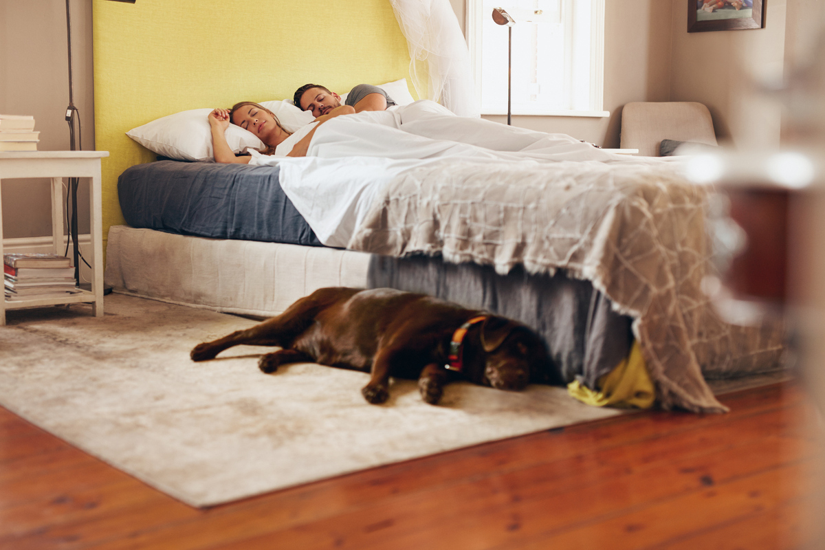 Γιατρός εξηγεί πώς η κλειστή πόρτα στο υπνοδωμάτιο επηρεάζει την ποιότητα του ύπνου