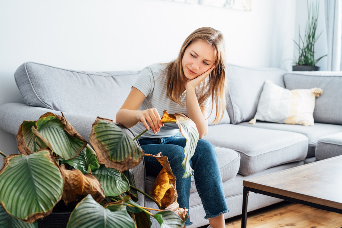 Πώς το σπίτι σου μπορεί να ρουφά την ενέργειά σου