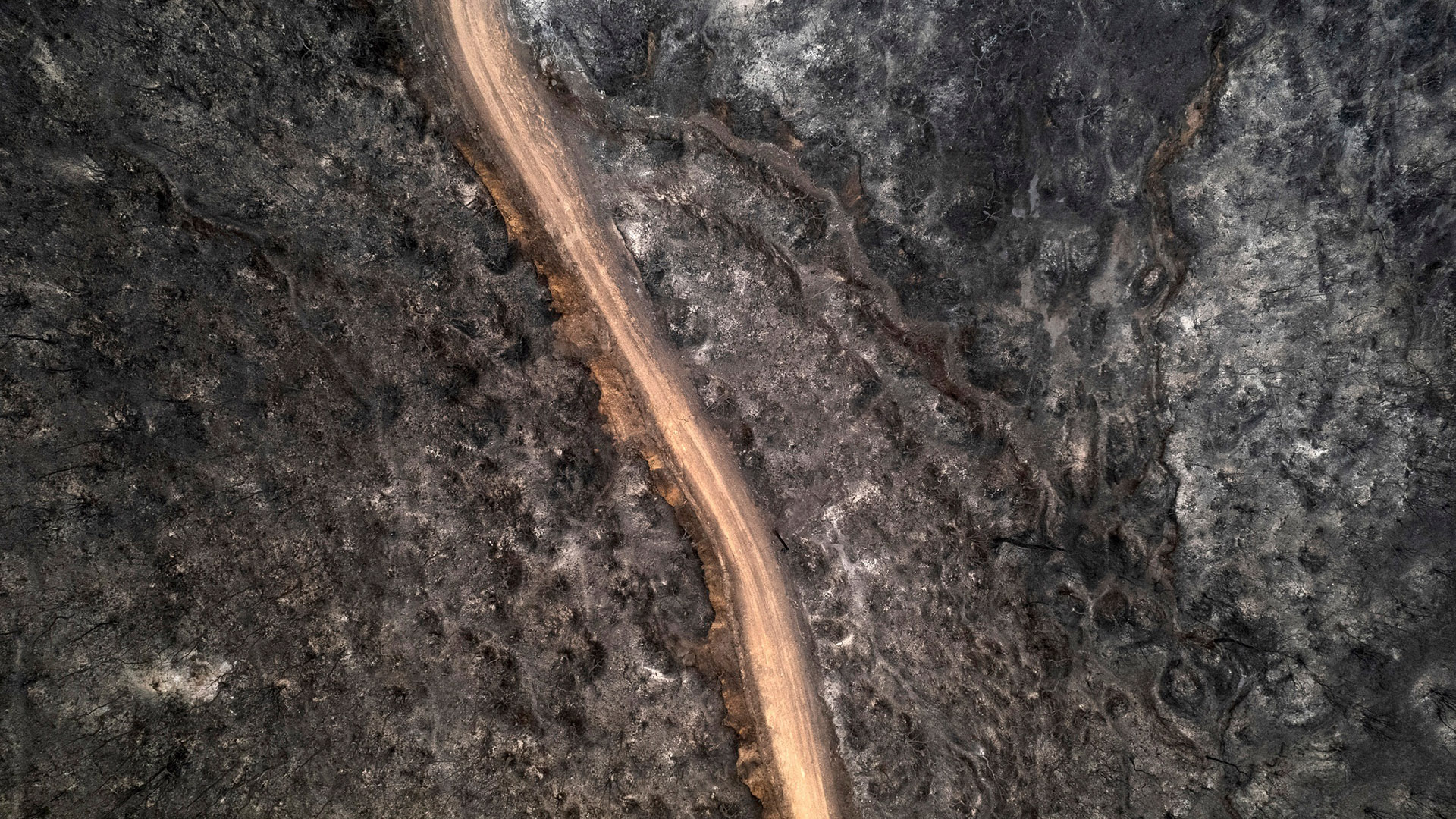 Η Ελλάδα αποκτά τον πρώτο ολοκληρωμένο χάρτη πρόβλεψης πυρκαγιών