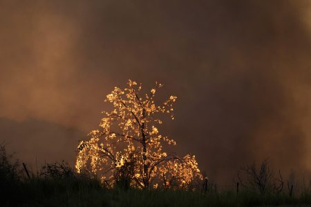 Η Ελλάδα αποκτά τον πρώτο ολοκληρωμένο χάρτη πρόβλεψης πυρκαγιών