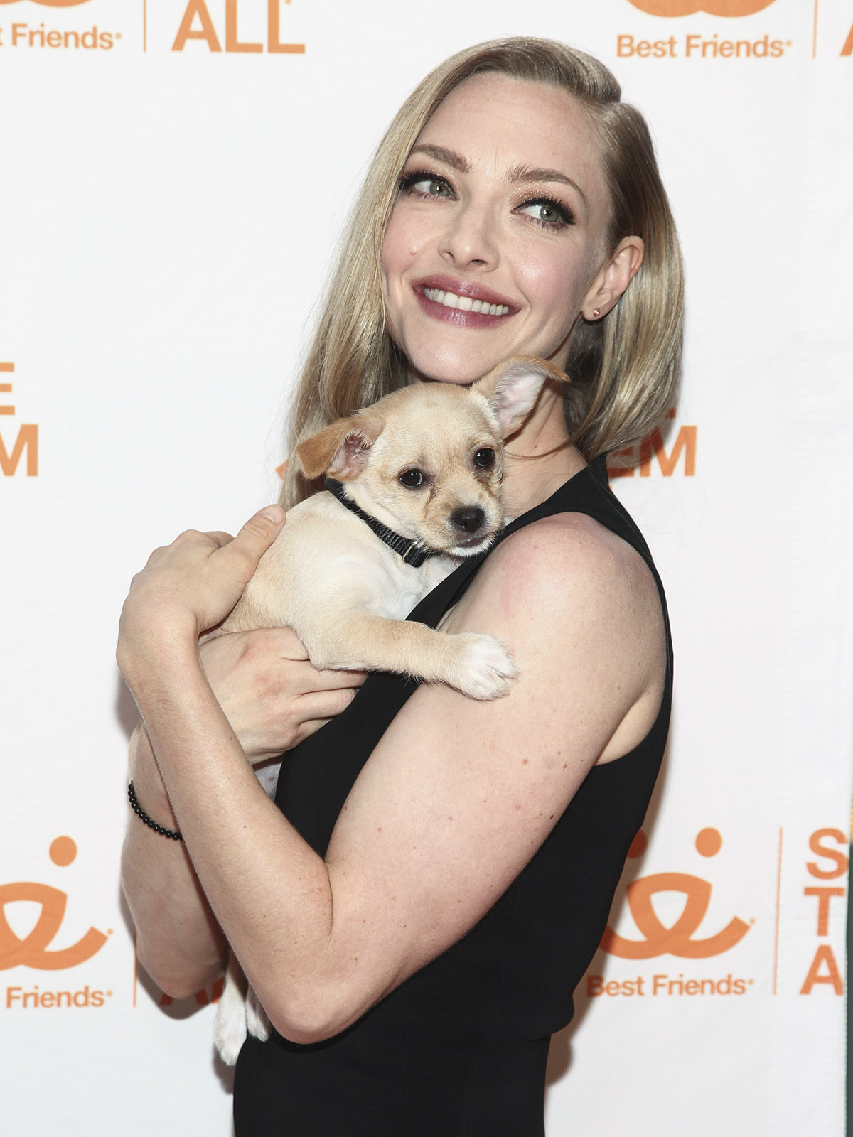 Αμάντα Σέιφριντ