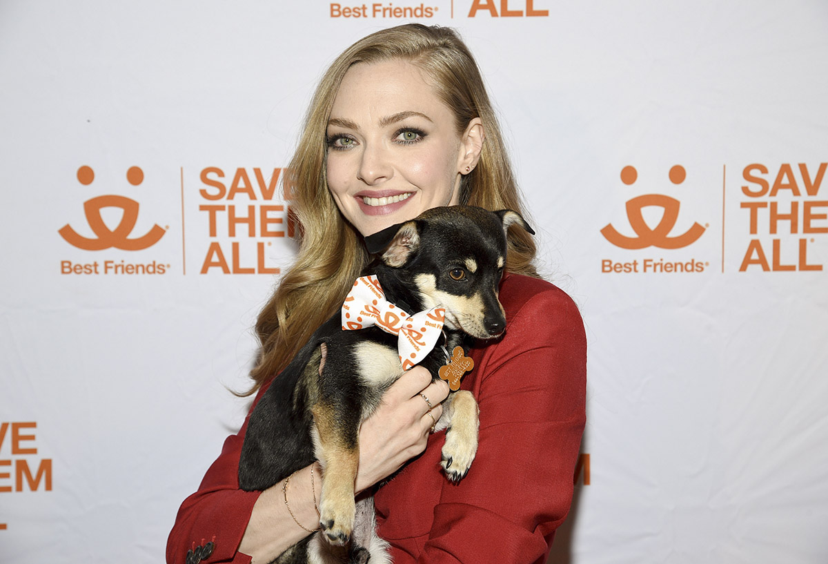 Αμάντα Σέιφριντ