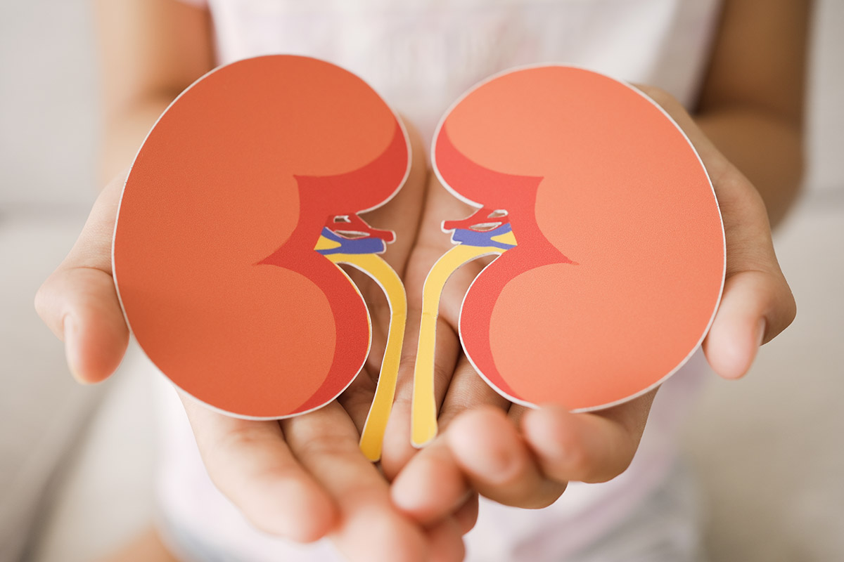 μεταμόσχευση νεφρού