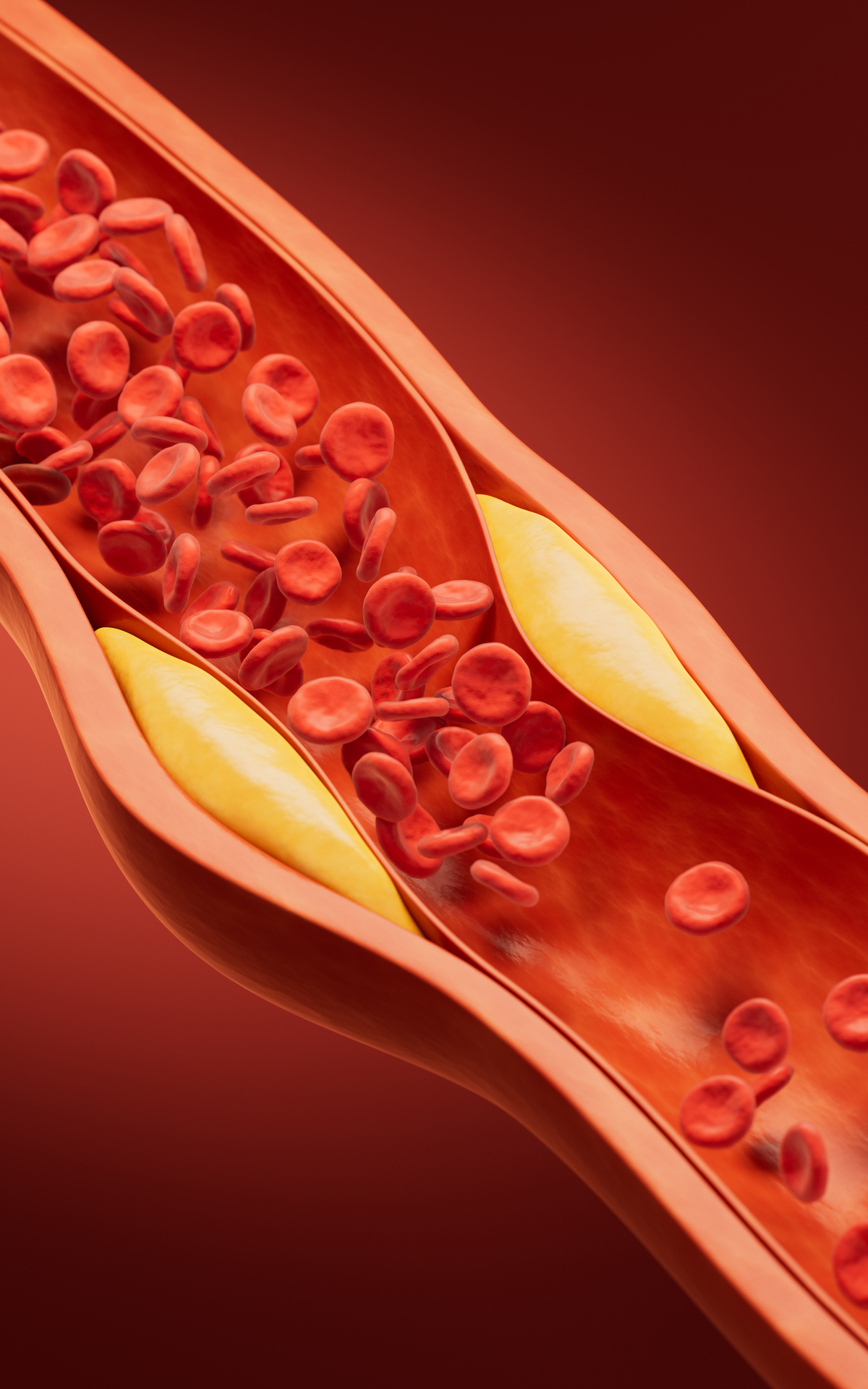 αιμοφόρο αγγείο