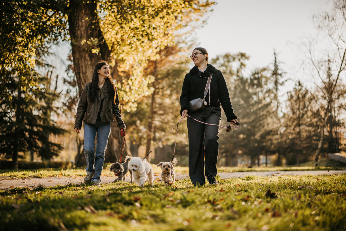 5+1 χώροι που χρειάζεσαι για καλύτερες κοινωνικές σχέσεις και ψυχική υγεία