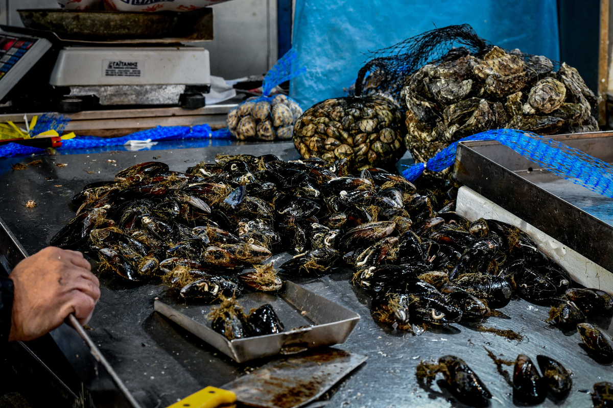 φρέσκα μύδια