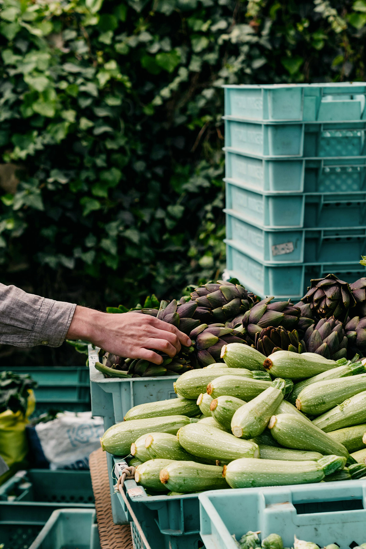 Μαθήματα υγιεινής, βιώσιμης και προσιτής διατροφής από τη Σλοβενία