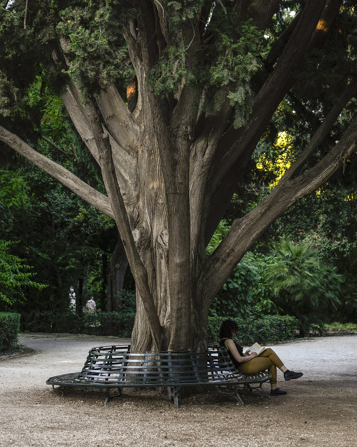Βιβλία Αγγελίδου