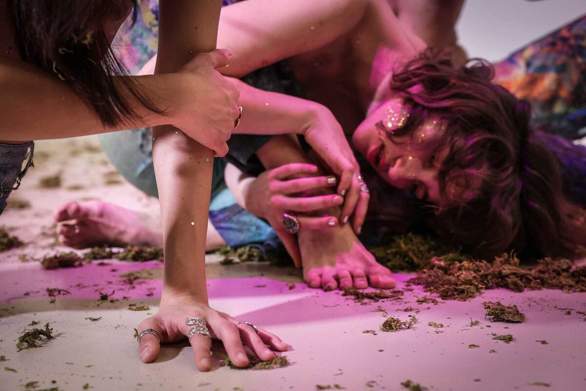 Ο κήπος των επίγειων απολαύσεων